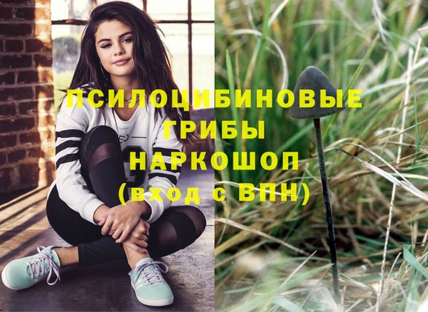 спиды Алзамай